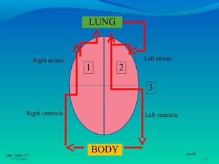 LUNG


                Right atrium                  Left atrium
                               1          2

                                               3

           Right ventricle                    Left ventricle




HSC 1004-3/27
                                   BODY                        Jan 08
  •3/26/2009                                                            •27
 