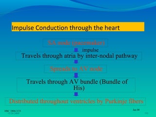 Impulse Conduction through the heart

                          SA node (pacemaker)
                                       impulse
                Travels through atria by inter-nodal pathway

                          Spreads to AV node
                 Travels through AV bundle (Bundle of
                                  His)

   Distributed throughout ventricles by Purkinje fibers
HSC 1004-3/33                                             Jan 08
  •3/26/2009                                                       •33
 