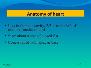 Anatomy of heart

  • Lies in thoracic cavity, 2/3 is to the left of
    midline (mediastinum)
  • Size: about a size of closed fist
  • Cone-shaped with apex & base




HSC 1004-3/5                                         Jan 08
  •3/26/2009                                                  •5
 