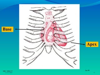 Base


                 Apex




HSC 1004-3/7   Jan 08
  •3/26/2009            •7
 