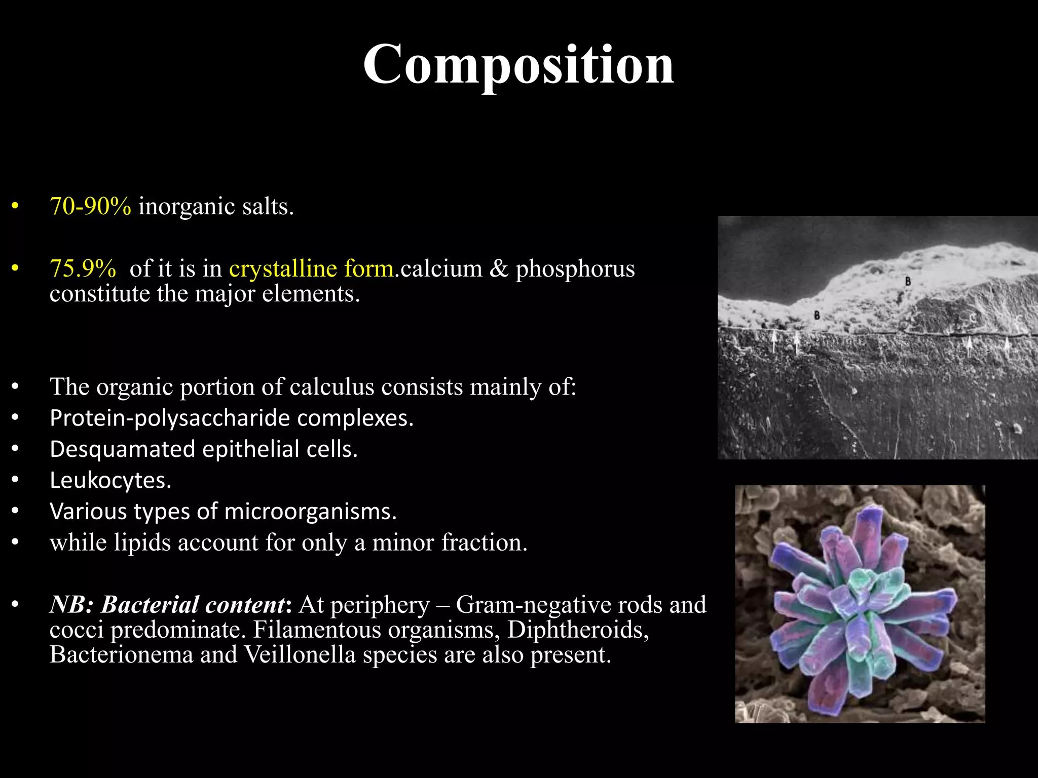 Composition
• 70-90% inorganic salts.
• 75.9% of it is in crystalline form.calcium & phosphorus
constitute the major elements.
• The organic portion of calculus consists mainly of:
• Protein-polysaccharide complexes.
• Desquamated epithelial cells.
• Leukocytes.
• Various types of microorganisms.
• while lipids account for only a minor fraction.
• NB: Bacterial content: At periphery – Gram-negative rods and
cocci predominate. Filamentous organisms, Diphtheroids,
Bacterionema and Veillonella species are also present.
 