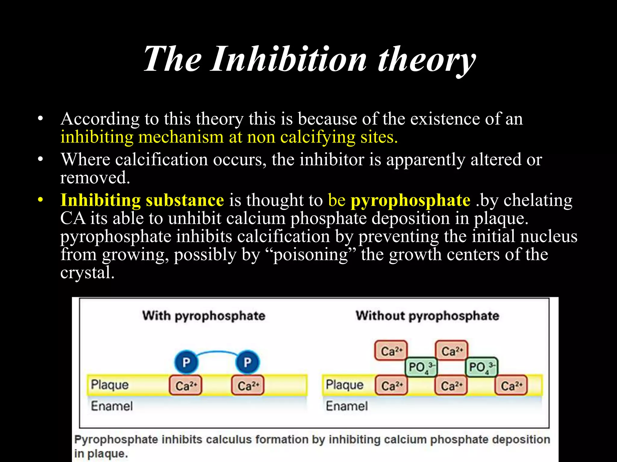 The Inhibition theory
• According to this theory this is because of the existence of an
inhibiting mechanism at non calcifying sites.
• Where calcification occurs, the inhibitor is apparently altered or
removed.
• Inhibiting substance is thought to be pyrophosphate .by chelating
CA its able to unhibit calcium phosphate deposition in plaque.
pyrophosphate inhibits calcification by preventing the initial nucleus
from growing, possibly by “poisoning” the growth centers of the
crystal.
 