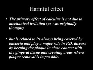 Harmful effect
• The primary effect of calculus is not due to
mechanical irritation (as was originally
thought)
• but is related to its always being covered by
bacteria and play a major role in P.D. disease
by keeping the plaque in close contact with
the gingival tissue and creating areas where
plaque removal is impossible.
 