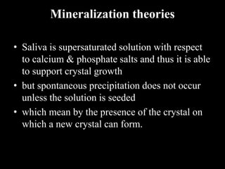 Mineralization theories
• Saliva is supersaturated solution with respect
to calcium & phosphate salts and thus it is able
to support crystal growth
• but spontaneous precipitation does not occur
unless the solution is seeded
• which mean by the presence of the crystal on
which a new crystal can form.
 