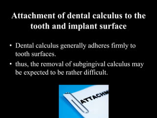 Attachment of dental calculus to the
tooth and implant surface
• Dental calculus generally adheres firmly to
tooth surfaces.
• thus, the removal of subgingival calculus may
be expected to be rather difficult.
 