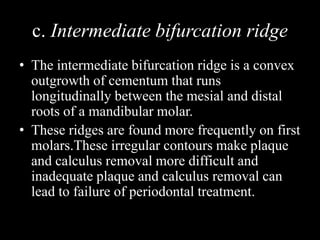 c. Intermediate bifurcation ridge
• The intermediate bifurcation ridge is a convex
outgrowth of cementum that runs
longitudinally between the mesial and distal
roots of a mandibular molar.
• These ridges are found more frequently on first
molars.These irregular contours make plaque
and calculus removal more difficult and
inadequate plaque and calculus removal can
lead to failure of periodontal treatment.
 