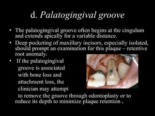 d. Palatogingival groove
• The palatogingival groove often begins at the cingulum
and extends apically for a variable distance.
• Deep pocketing of maxillary incisors, especially isolated,
should prompt an examination for this plaque – retentive
root anomaly.
• If the palatogingival
groove is associated
with bone loss and
attachment loss, the
clinician may attempt
to remove the groove through odontoplasty or to
reduce its depth to minimize plaque retention .
 