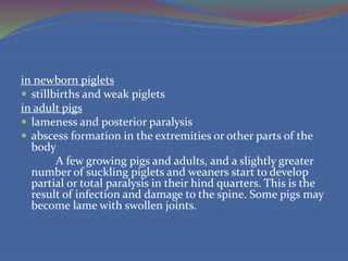 6. different kinds of swine diseases | PPTX