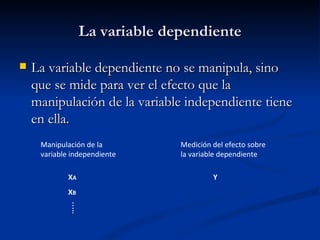 La variable dependiente La variable dependiente no se manipula, sino que se mide para ver el efecto que la manipulación de la variable independiente tiene en ella. Manipulación de la  variable independiente Medición del efecto sobre la variable dependiente X A X B … .. Y 