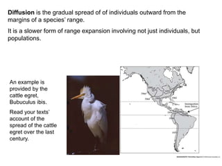 Secular Migration 6 - Dispersal and Migration.ppt
