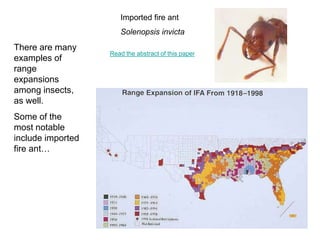 Secular Migration 6 - Dispersal and Migration.ppt