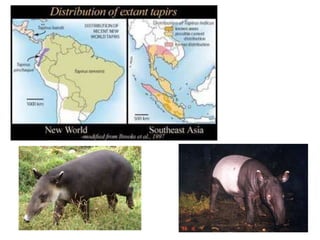 Secular Migration 6 - Dispersal and Migration.ppt