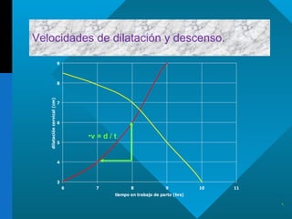 Velocidades de dilatación y descenso. . v = d / t 