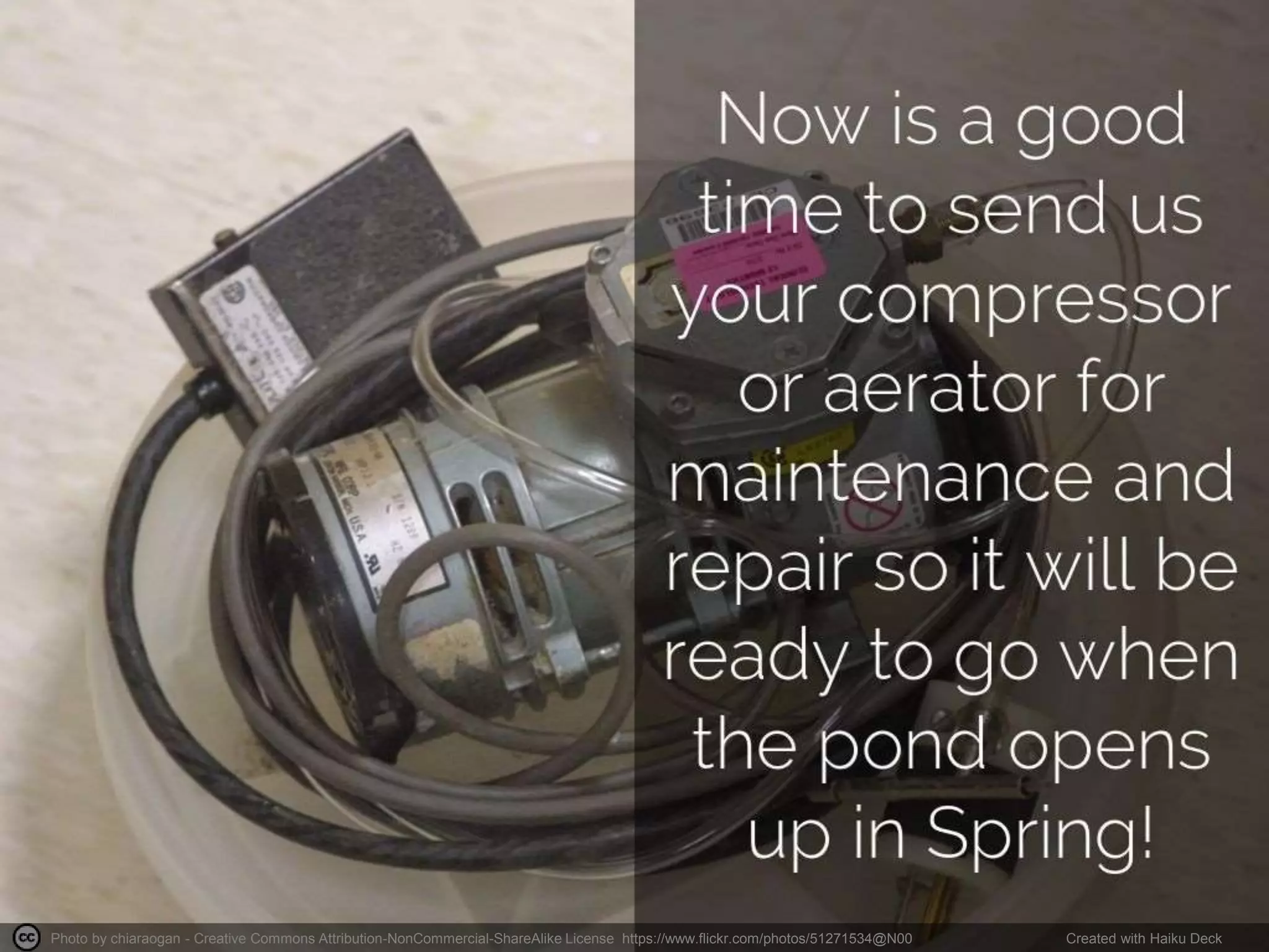 Photo by chiaraogan - Creative Commons Attribution-NonCommercial-ShareAlike License https://www.flickr.com/photos/51271534@N00 Created with Haiku Deck
 