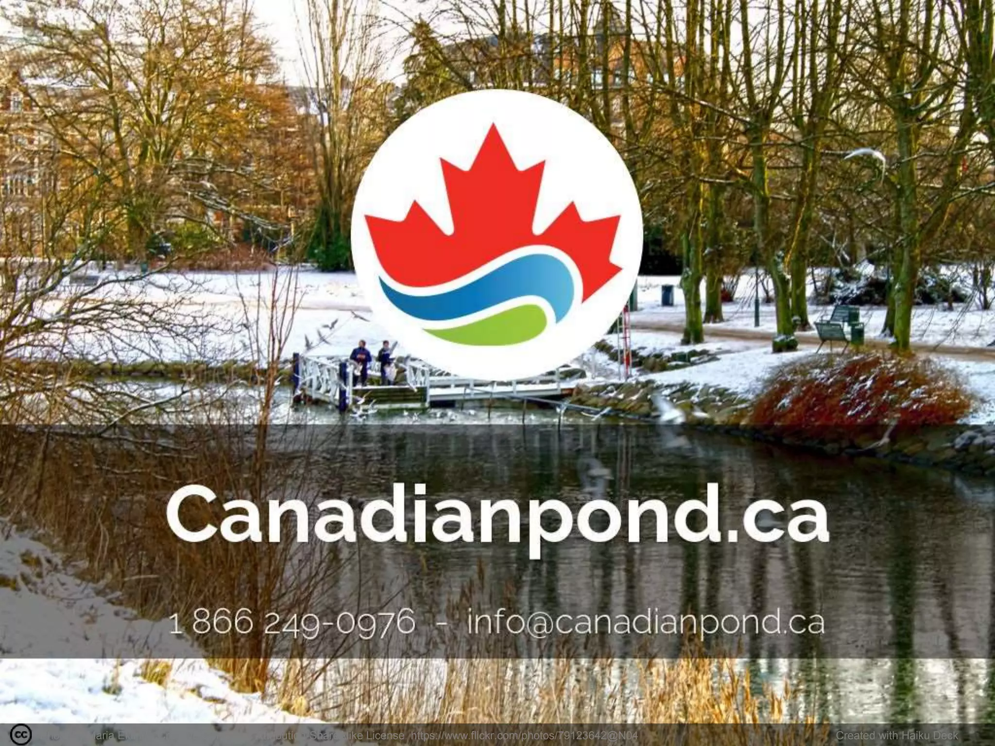 Photo by Maria Eklind - Creative Commons Attribution-ShareAlike License https://www.flickr.com/photos/79123642@N04 Created with Haiku Deck
 