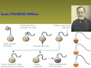 Louis PASTEUR1860an
 