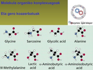 Molekula organiko konplexuagoak
Eta gero koazerbatuak
 