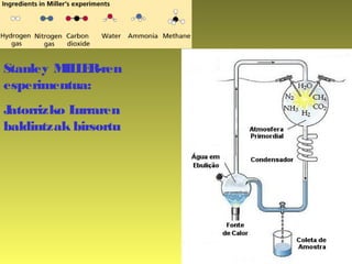 Stanley MILLER-ren
esperimentua:
Jatorrizko Lurraren
baldintzak birsortu
 