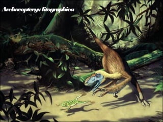 Archaeopteryxlitographica
 