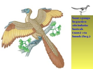 Gauregungo
hegaztien
aitzindaria:
hortzak
(narr.) eta
lumak (heg.)
 