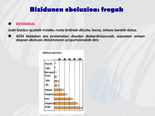 Bizidunen eboluzioa: frogak
BIOKIMIKA:
izaki bizidun guztiek moleku mota brdinak dituzte, beraz, arbaso beretik datoz.
ADN kateetan eta proteinetan dauden desberdintasunak, espezieen artean
dagoen eboluzio distantziaren proportzionalak dira
 
