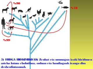 5) FROGA BIOKIMIKOAK: Zenbat eta urrunagoa izaki bizidunen
arteko lotura ebolutiboa, orduan eta handiagoak izango dira
desberdintasunak
%99
%90
%78
 
