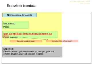 Espezieak izendatu
NATURA ZIENTZIAK, DBH 1
Izaki bizidunak
Nomenklatura binomiala
Izen arrunta:
Pagoa
Izen zientifikoa: letra etzanez idazten da
Fagus sylvatica
Generoa: letra larriz idatzi
Espeziea:
Elkarren artean ugaltzen diren eta ondorengo ugalkorrak
ematen dituzten antzeko banakoen multzoa.
espeziea: letra xeheaz idatzi
 