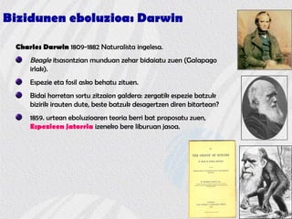 Bizidunen eboluzioa: Darwin
Charles Darwin 1809-1882 Naturalista ingelesa.
Beagle itsasontzian munduan zehar bidaiatu zuen (Galapago
irlak).
Espezie eta fosil asko behatu zituen.
Bidai horretan sortu zitzaion galdera: zergatik espezie batzuk
bizirik irauten dute, beste batzuk desagertzen diren bitartean?
1859. urtean eboluzioaren teoria berri bat proposatu zuen,
Espezieen jatorria izeneko bere liburuan jasoa.
 