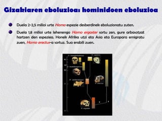 Gizakiaren eboluzioa: hominidoen eboluzioa
Duela 2-2,5 milioi urte Homo espezie desberdinek eboluzionatu zuten.
Duela 1,8 milioi urte lehenengo Homo ergaster sortu zen, gure arbasotzat
hartzen den espeziea. Honek Afrika utzi eta Asia eta Europara emigratu
zuen, Homo erectus-a sortuz. Sua erabili zuen.
 