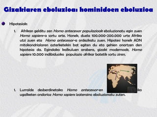 Gizakiaren eboluzioa: hominidoen eboluzioa
Hipotesiak:
1. Afrikan gelditu zen Homo antecessor populazioak eboluzionatu egin zuen
Homo sapiens-a sortu arte. Honek, duela 100.000-200.000 urte Afrika
utzi zuen eta Homo antecessor-a ordezkatu zuen. Hipotesi honek ADN
mitokondrialaren azterketekin bat egiten du eta gehien onartzen den
hipotesia da. Egindako kalkuluen arabera, gizaki modernoak, Homo
sapiens 10.000 indibiduoko populazio afrikar batetik sortu ziren.
1. Lurralde desberdinetako Homo antecessor-en populazioen arteko
ugalketen ondorioz Homo sapiens izateraino eboluzionatu zuten.
 