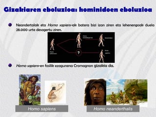 Gizakiaren eboluzioa: hominidoen eboluzioa
Neandertalak eta Homo sapiens-ak batera bizi izan ziren eta lehenengoak duela
28.000 urte desagertu ziren.
Homo sapiens-en fosilik ezagunena Cromagnon gizakia da.
Homo sapiens Homo neanderthalis
 