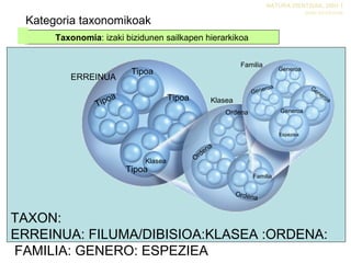 Kategoria taxonomikoak
NATURA ZIENTZIAK, DBH 1
Izaki bizidunak
Taxonomia: izaki bizidunen sailkapen hierarkikoa
ERREINUA
Familia
Tipoa
Tipoa
Tipoa
Tipoa
Klasea
Ordena
Ordena
Ordena
Familia
Generoa
Generoa Generoa
Generoa
Espeziea
Klasea
TAXON:
ERREINUA: FILUMA/DIBISIOA:KLASEA :ORDENA:
FAMILIA: GENERO: ESPEZIEA
 