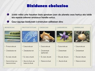 Bizidunen eboluzioa
3.600 milioi urte hauetan bizia garatzen joan da planeta osoa hartuz eta talde
eta espezie askoren aniztasun handia sortuz.
Gaur egungo bizidunak 5 erreinutan sailkatzen dira:
 