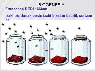 Francesco REDI 1668an:
Izaki bizidunak beste izaki bizidun batetik sortzen
da.
BIOGENESIA
 