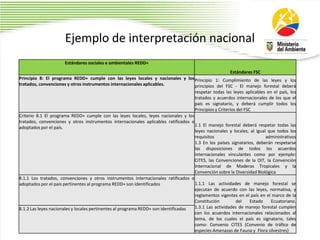 Ejemplo de interpretación nacional
Estándares sociales e ambientales REDD+
Estándares FSC
Principio 8: El programa REDD+ cumple con las leyes locales y nacionales y los
tratados, convenciones y otros instrumentos internacionales aplicables.
Principio 1: Cumplimiento de las leyes y los
principios del FSC - El manejo forestal deberá
respetar todas las leyes aplicables en el país, los
tratados y acuerdos internacionales de los que el
país es signatario, y deberá cumplir todos los
Principios y Criterios del FSC
Criterio 8.1 El programa REDD+ cumple con las leyes locales, leyes nacionales y los
tratados, convenciones y otros instrumentos internacionales aplicables ratificados o
adoptados por el país. 1.1 El manejo forestal deberá respetar todas las
leyes nacionales y locales, al igual que todos los
requisitos administrativos
1.3 En los países signatarios, deberán respetarse
las disposiciones de todos los acuerdos
internacionales vinculantes como por ejemplo:
CITES, las Convenciones de la OIT, la Convención
Internacional de Maderas Tropicales y la
Convención sobre la Diversidad Biológica
8.1.1 Los tratados, convenciones y otros instrumentos internacionales ratificados o
adoptados por el país pertinentes al programa REDD+ son identificados 1.1.1 Las actividades de manejo forestal se
ejecutan de acuerdo con las leyes, normativa, y
reglamentos vigentes en el país en el marco de la
Constitución del Estado Ecuatoriano.
1.3.1 Las actividades de manejo forestal cumplen
con los acuerdos internacionales relacionados al
tema, de los cuales el país es signatario, tales
como: Convenio CITES (Convenio de tráfico de
especies Amenazas de Fauna y Flora silvestres)
8.1.2 Las leyes nacionales y locales pertinentes al programa REDD+ son identificadas
 