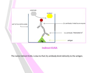 Indirect ELISA
The name Indirect ELISA, is due to that 2ry antibody bind indirectly to the antigen.
 