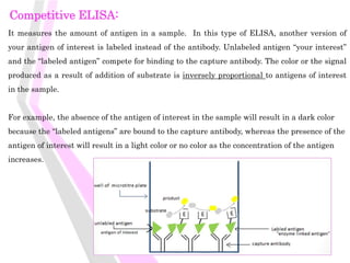 Competitive ELISA:
It measures the amount of antigen in a sample. In this type of ELISA, another version of
your antigen of interest is labeled instead of the antibody. Unlabeled antigen “your interest”
and the “labeled antigen” compete for binding to the capture antibody. The color or the signal
produced as a result of addition of substrate is inversely proportional to antigens of interest
in the sample.
For example, the absence of the antigen of interest in the sample will result in a dark color
because the “labeled antigens” are bound to the capture antibody, whereas the presence of the
antigen of interest will result in a light color or no color as the concentration of the antigen
increases.
 