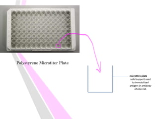 Polystyrene Microtiter Plate
 