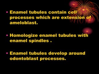 Structure of the first layer of tooth Enamel .ppt