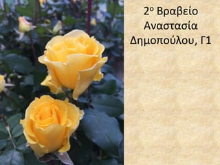 2ο Βραβείο
Αναστασία
Δημοπούλου, Γ1
 