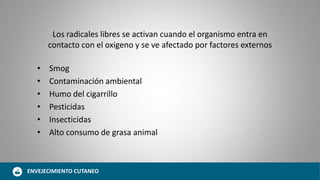 Los radicales libres se activan cuando el organismo entra en
contacto con el oxigeno y se ve afectado por factores externos
• Smog
• Contaminación ambiental
• Humo del cigarrillo
• Pesticidas
• Insecticidas
• Alto consumo de grasa animal
ENVEJECIMIENTO CUTANEO
 