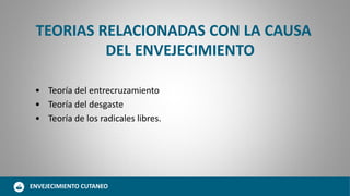 TEORIAS RELACIONADAS CON LA CAUSA
DEL ENVEJECIMIENTO
• Teoría del entrecruzamiento
• Teoría del desgaste
• Teoría de los radicales libres.
ENVEJECIMIENTO CUTANEO
 