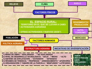 EL  ESPACIO RURAL: TERRITORIO EN EL QUE SE LLEVAN A CABO: ACTIVIDADES AGRARIAS OTRAS ACTIVIDADES (“ NUEVOS USOS” ) FACTORES FÍSICOS FACTORES HUMANOS RELIEVE CLIMA SUELO RENDIMIENTO// PRODUCCIÓN AUTO-CONSUMO MERCADO ESTRUCTURA AGRARIA 1) MANO DE OBRA: * ASALARIADA  * NO ASALARIADA 2) NIVEL DE DESARROLLO TECNOLÓGICO:  * BAJO  * MEDIO  * ALTO 3) SISTEMA DE EXPLOTACIÓN:  * EXTENSIVO  * INTENSIVO 4) RÉGIMEN DE TENENCIA: * PROPIEDAD  * ARRENDAMIENTO * APARCERÍA 5) ORGANIZACIÓN Y TAMAÑO DE LA PARCELA: * MINIFUNDIO * LATIFUNDIO INICIATIVAS DE DIVERSIFICACIÓN USOS INDUSTRIALES USOS TERCIARIOS POBLACIÓN POLÍTICA AGRARIA 