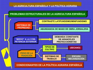 PROBLEMAS ESTRUCTURALES DE LA AGRICULTURA ESPAÑOLA LA AGRICULTURA ESPAÑOLA Y LA POLÍTICA AGRARIA SISTEMAS DE PROPIEDAD “ MIEDO” A LA COM-PETENCIA EXTERIOR PESO DE LA TRADICIÓN CONTRASTE LATIFUNDISMO/MINIFUNDISMO ABUNDANCIA DE MANO DE OBRA JORNALERA DEMANDA CONSTANTE DE ARANCELES PROTECCIONISTAS TIPOS DE CULTIVO SISTEMAS DE TRABAJO  (SECANO) ESCASA MECANIZACIÓN CONDICIONANTES DE LA POLÍTICA AGRARIA ESPAÑOLA 