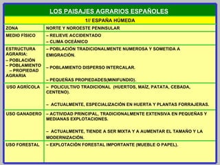 –  ACTIVIDAD PRINCIPAL, TRADICIONALMENTE EXTENSIVA EN PEQUEÑAS Y MEDIANAS EXPLOTACIONES.   –  ACTUALMENTE, TIENDE A SER MIXTA Y A AUMENTAR EL TAMAÑO Y LA MODERNIZACIÓN.  USO GANADERO –  EXPLOTACIÓN FORESTAL IMPORTANTE (MUEBLE O  PAPEL).  USO FORESTAL –  POLICULTIVO TRADICIONAL  (HUERTOS, MAÍZ, PATATA, CEBADA, CENTENO).   –  ACTUALMENTE, ESPECIALIZACIÓN EN HUERTA Y PLANTAS FORRAJERAS. USO AGRÍCOL A   –  POBLACIÓN TRADICIONALMENTE NUMEROSA Y SOMETIDA A EMIGRACIÓN.   –  POBLAMIENTO DISPERSO INTERCALAR.   –  PEQUEÑAS PROPIEDADES(MINIFUNDIO). ESTRUCTURA AGRARIA:  –  POBLACIÓN  – POBLAMIENTO  – PROPIEDAD  AGRARIA –  RELIEVE ACCIDENTADO –  CLIMA OCEÁNICO  MEDIO FÍSICO NORTE Y NOROESTE PENINSULAR  ZONA 1// ESPAÑA HÚMEDA LOS PAISAJES AGRARIOS ESPAÑOLES   