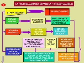 LA POLÍTICA AGRARIA ESPAÑOLA (1.833/ACTUALIDAD) ETAPA 1833/1985 PROTECCIONISMO ESPAÑA LIBERAL NO ALTERAN LA DISTRIBUCIÓN DE LA PROPIEDAD SEGUNDA REPÚBLICA DICTADURA DE FRANCO Y TRANSICIÓN DESAMORTI-ZACIONES LEY DE REFORMA AGRARIA ESCASA DURACIÓN. FRACASO CONCENTRACIÓN PARCELARIA // PREFERENTEMENTE EN LA MESETA. PLANES DE REGADÍOS // RESULTADOS ESCASOS PLANES DE COLONIZACIÓN. // PUESTA EN CULTIVO DE NUEVAS TIERRAS //POBLADOS DE COLONIZACIÓN LEY DE FINCAS MANIFIESTAMENTE MEJORABLES 1 POLÍTICA DE  PRECIOS 