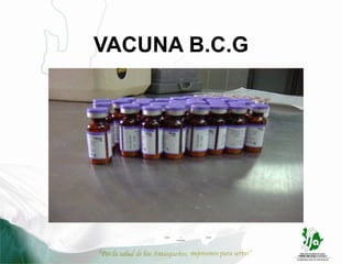 VACUNA B.C.G




     Jardín      17       Nariño
              Caramanta
 