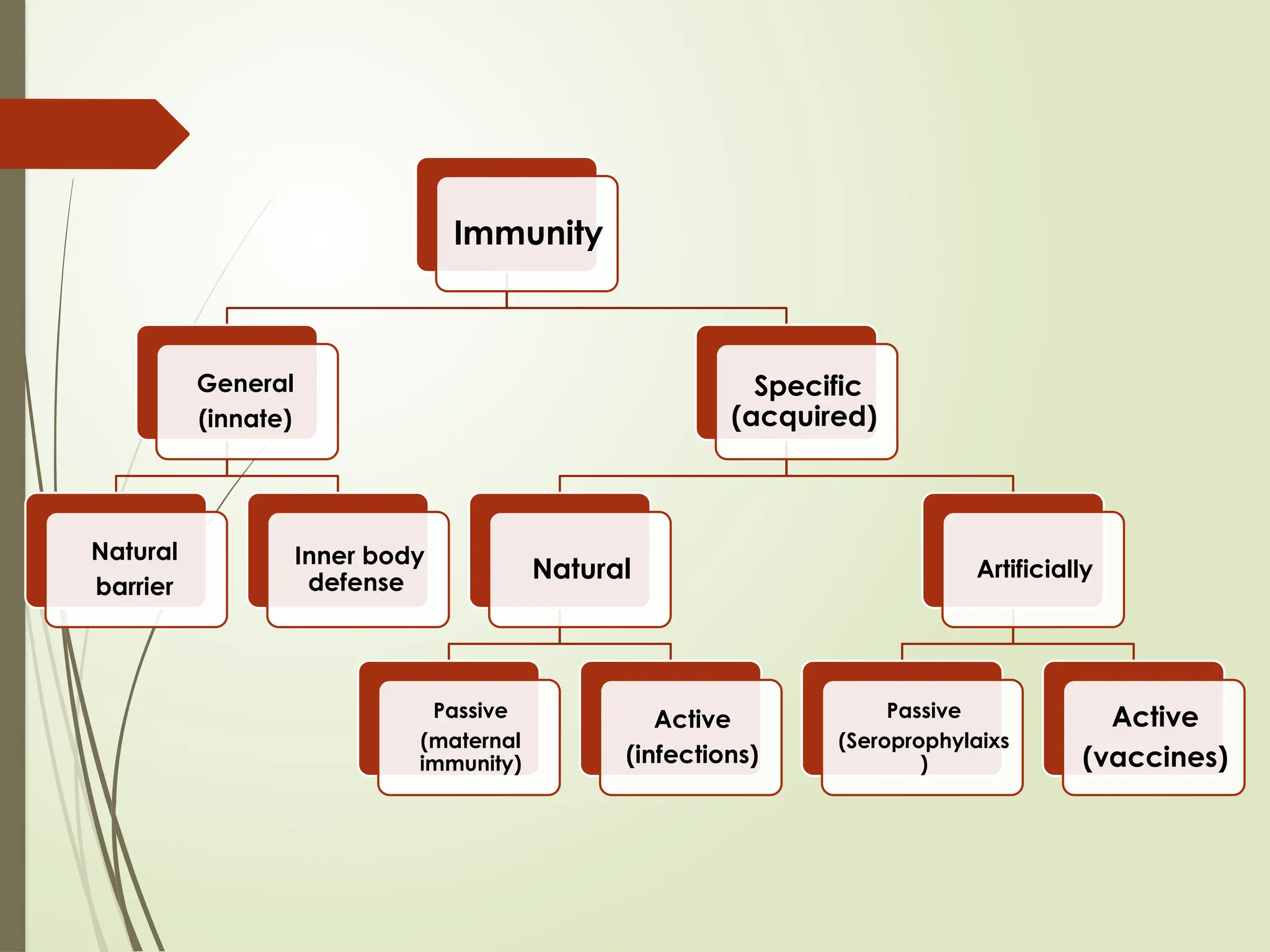 Immunity
General
(innate)
Natural
barrier
Inner body
defense
Specific
(acquired)
Natural
Passive
(maternal
immunity)
Active
(infections)
Artificially
Passive
(Seroprophylaixs
)
Active
(vaccines)
 