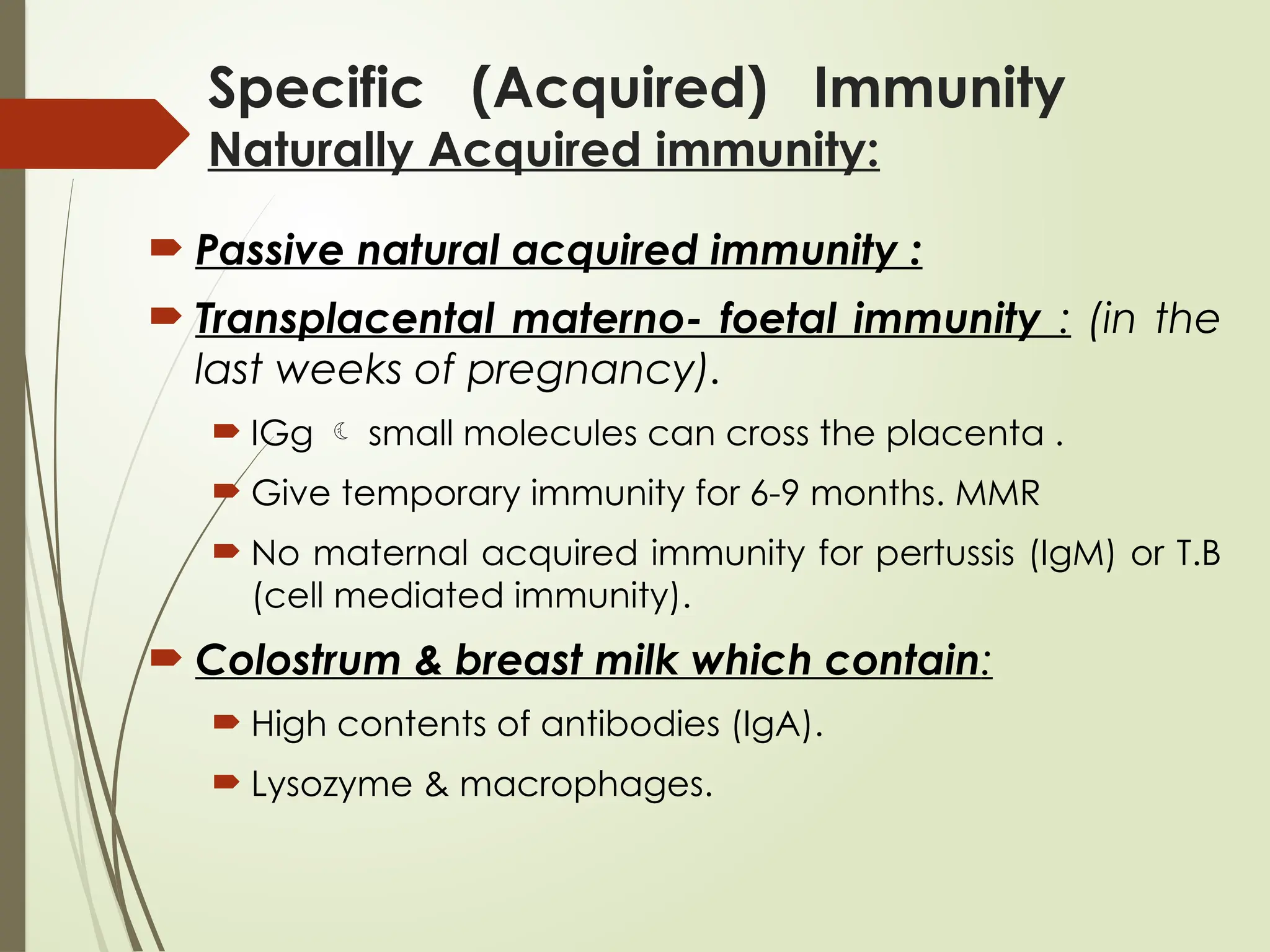 Specific (Acquired) Immunity
Naturally Acquired immunity:
 Passive natural acquired immunity :
 Transplacental materno- foetal immunity : (in the
last weeks of pregnancy).
 IGg  small molecules can cross the placenta .
 Give temporary immunity for 6-9 months. MMR
 No maternal acquired immunity for pertussis (IgM) or T.B
(cell mediated immunity).
 Colostrum & breast milk which contain:
 High contents of antibodies (IgA).
 Lysozyme & macrophages.
 