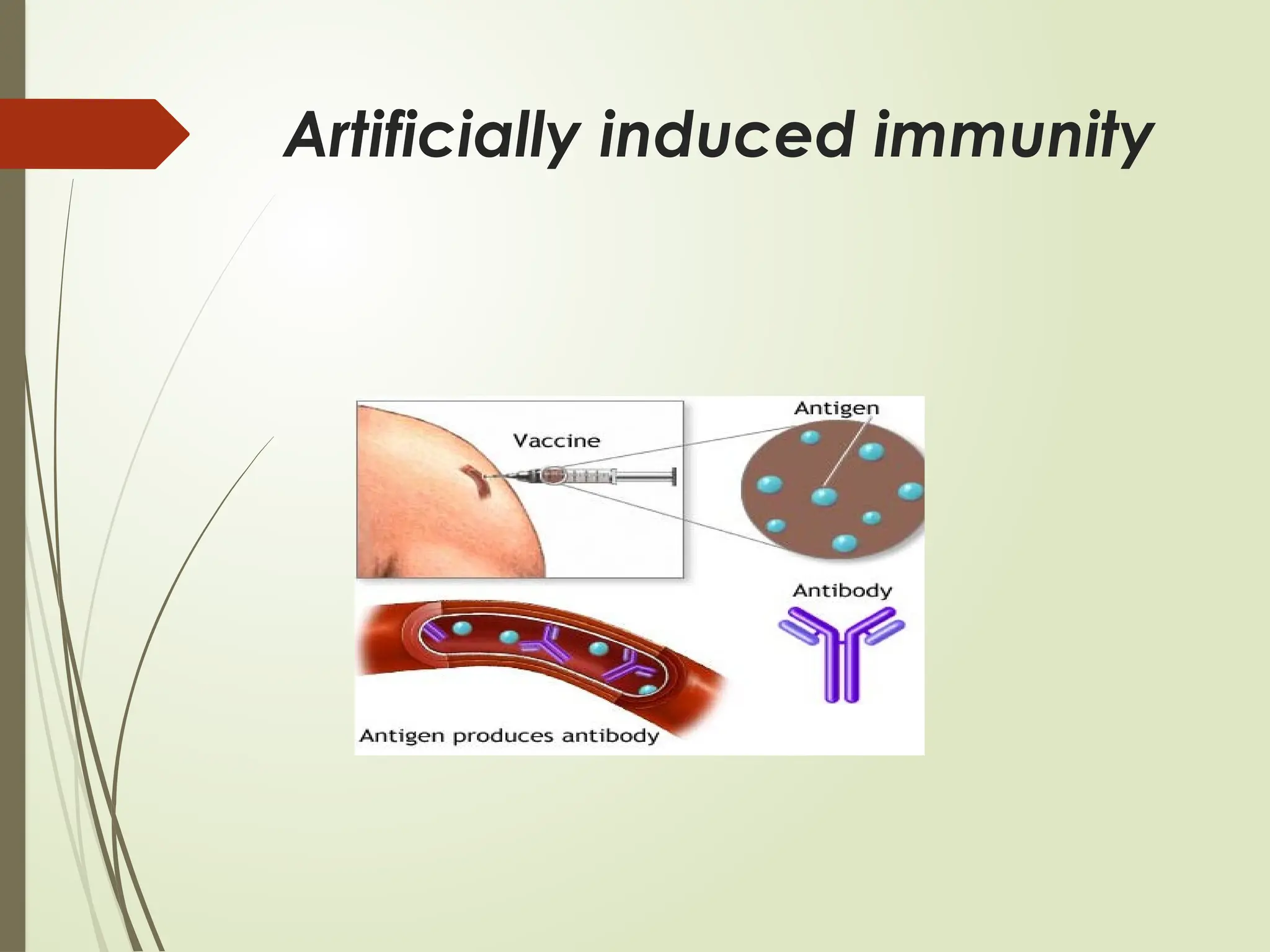 Artificially induced immunity
 